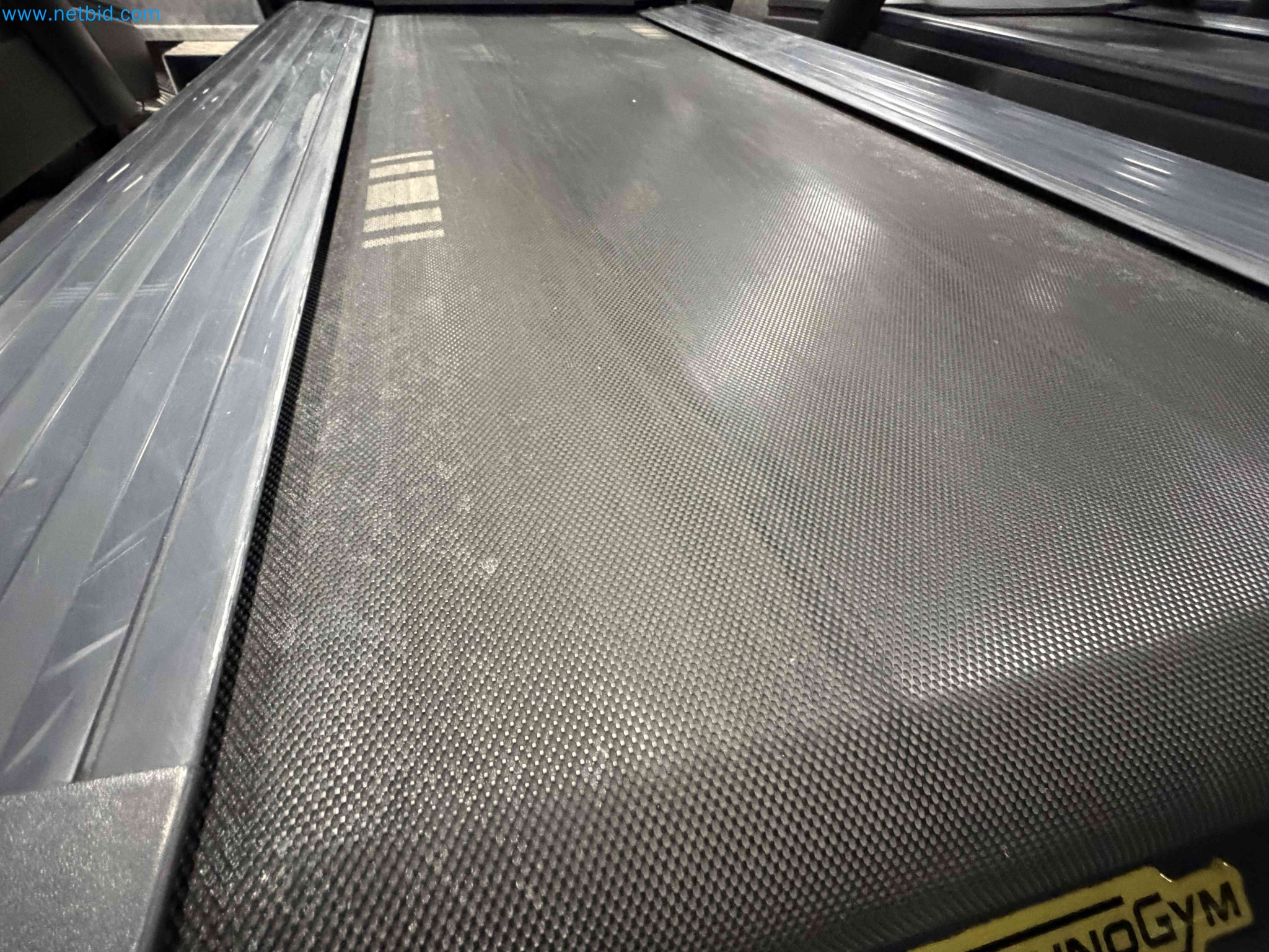 Auction of Used Technogym Gym Equipment – Professional Fitness Machines-2