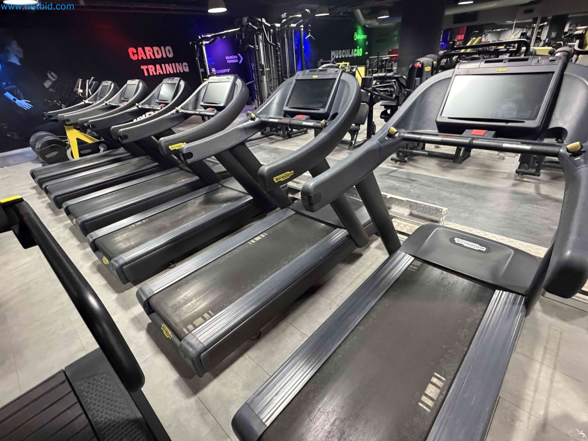 Auction of Used Technogym Gym Equipment – Professional Fitness Machines-6