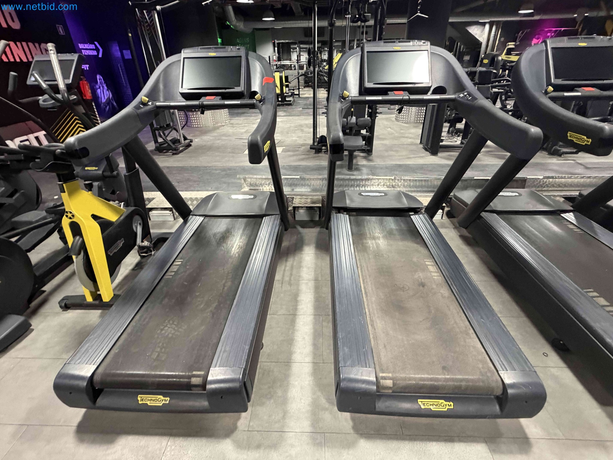 Auction of Used Technogym Gym Equipment – Professional Fitness Machines-7