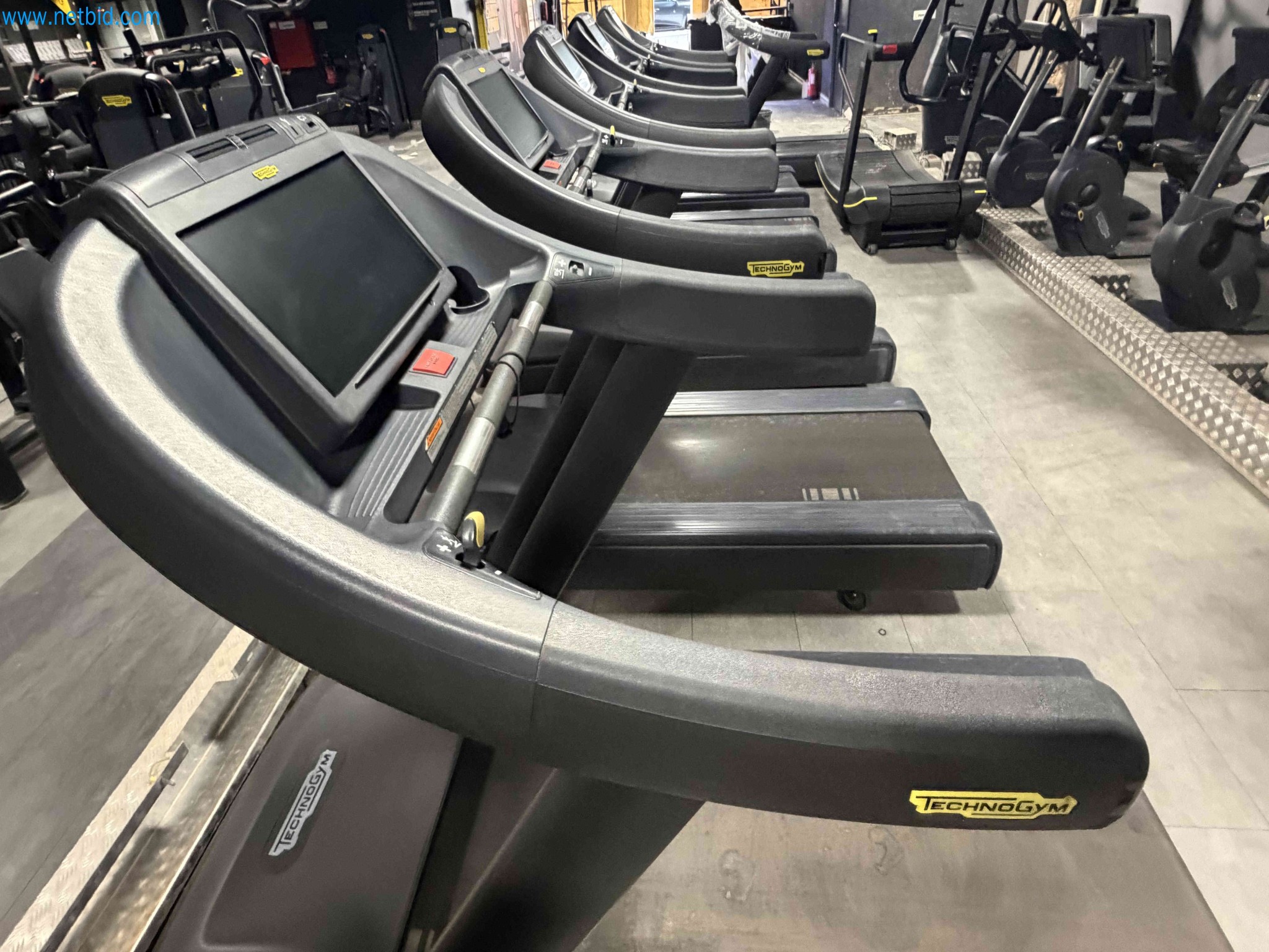 Auction of Used Technogym Gym Equipment – Professional Fitness Machines-13