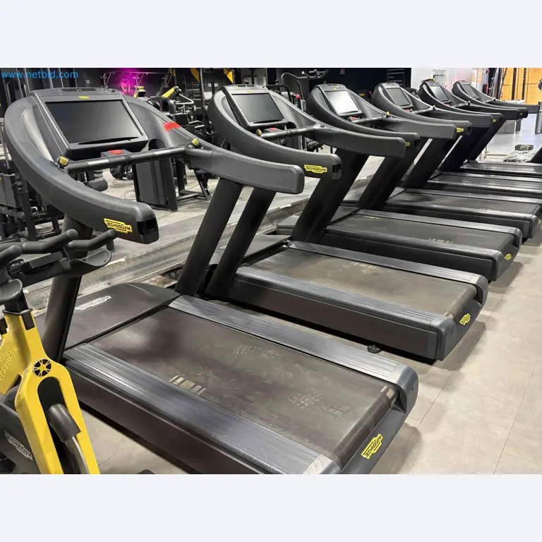 Aukcja używanego sprzętu fitness Technogym - Profesjonalny sprzęt fitness-16