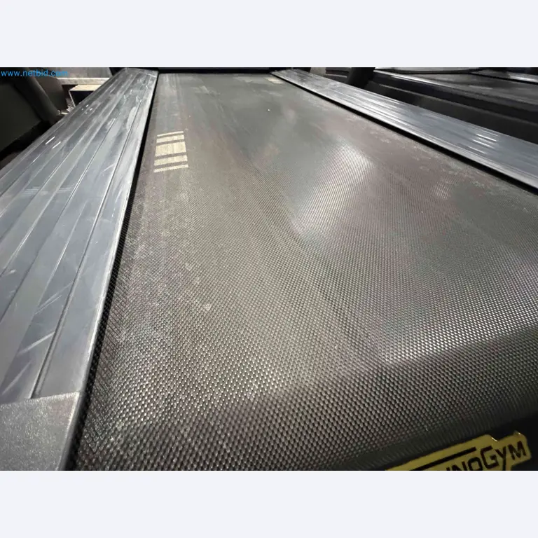 Aukcja używanego sprzętu fitness Technogym - Profesjonalny sprzęt fitness-2