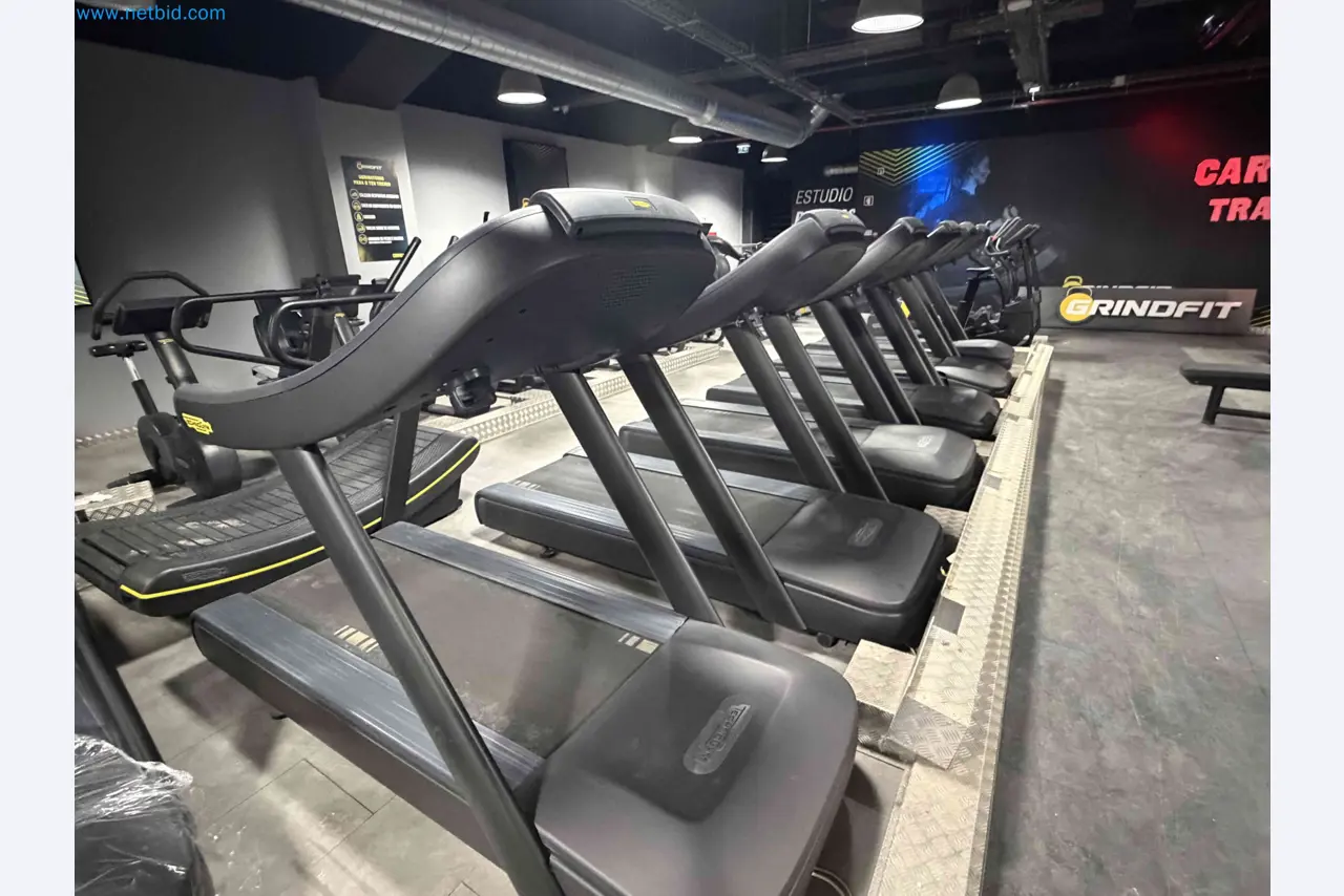 Aukcja używanego sprzętu fitness Technogym - Profesjonalny sprzęt fitness-5