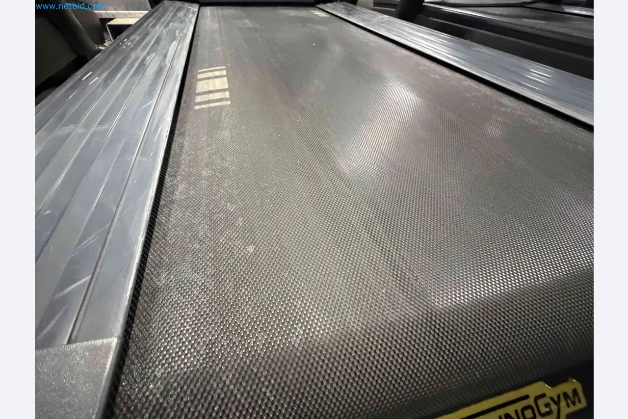 Aukcja używanego sprzętu fitness Technogym - Profesjonalny sprzęt fitness-2