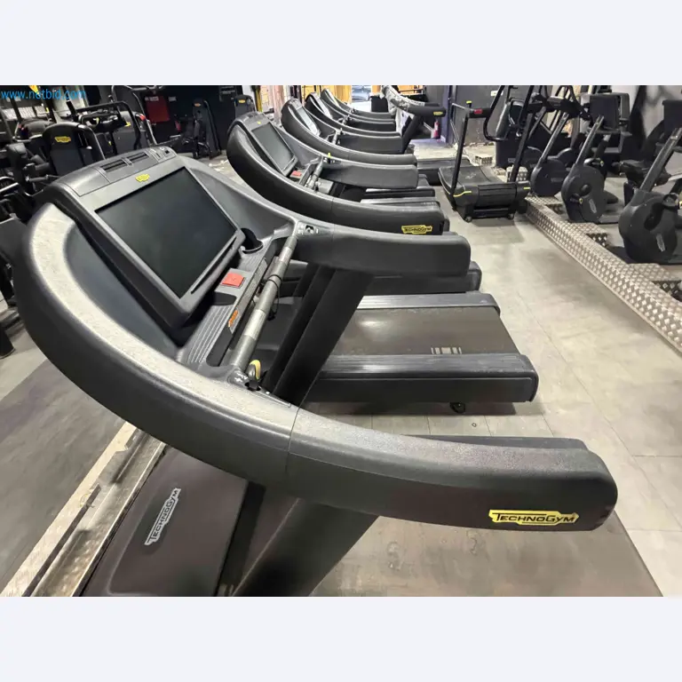 Auktion von gebrauchten Technogym-Fitnessgeräten – Professionelle Fitnessgeräte-13