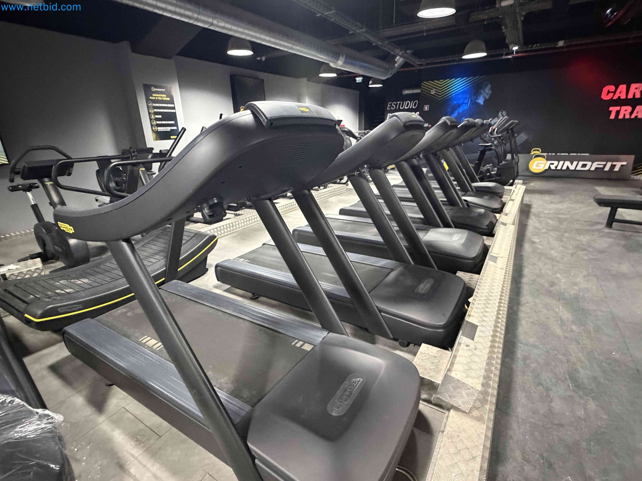 Auction of Used Technogym Gym Equipment – Professional Fitness Machines-5