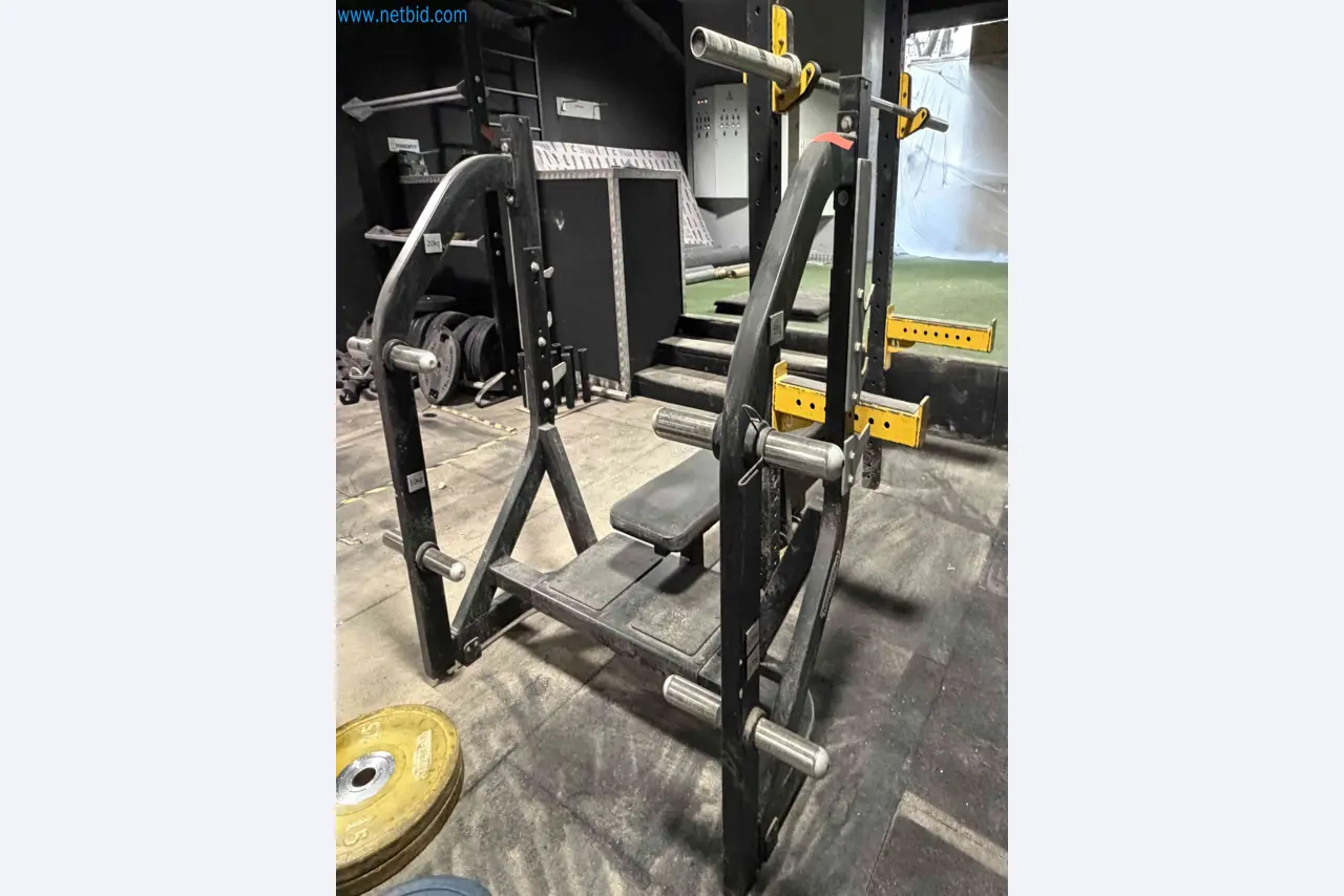 Auction of Used Technogym Gym Equipment – Professional Fitness Machines-1