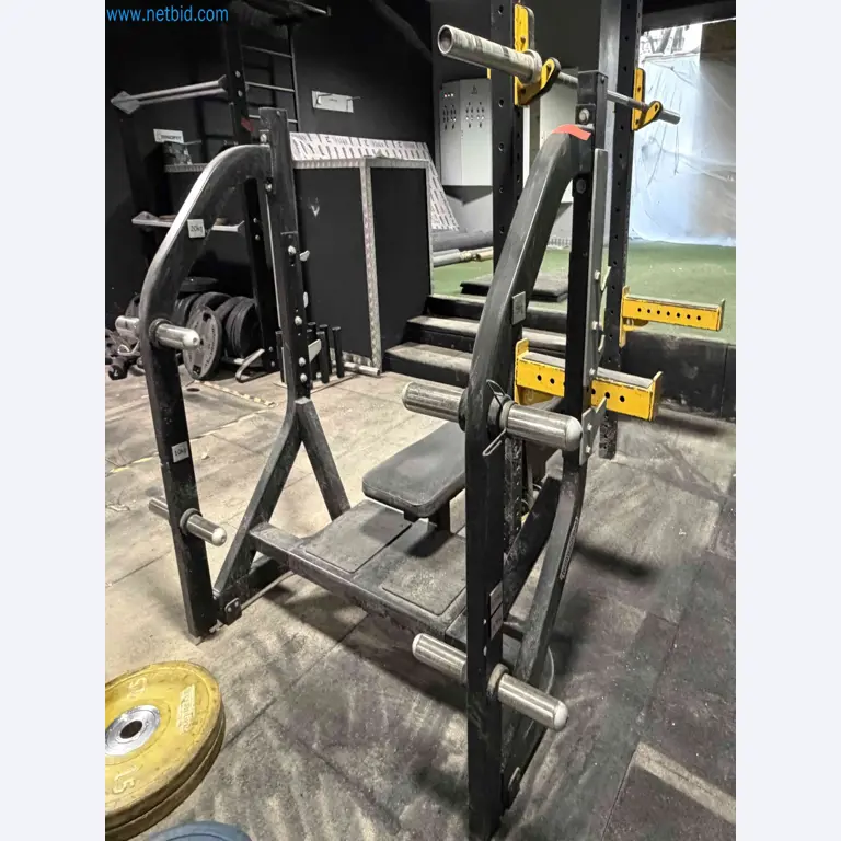 Auction of Used Technogym Gym Equipment – Professional Fitness Machines-1
