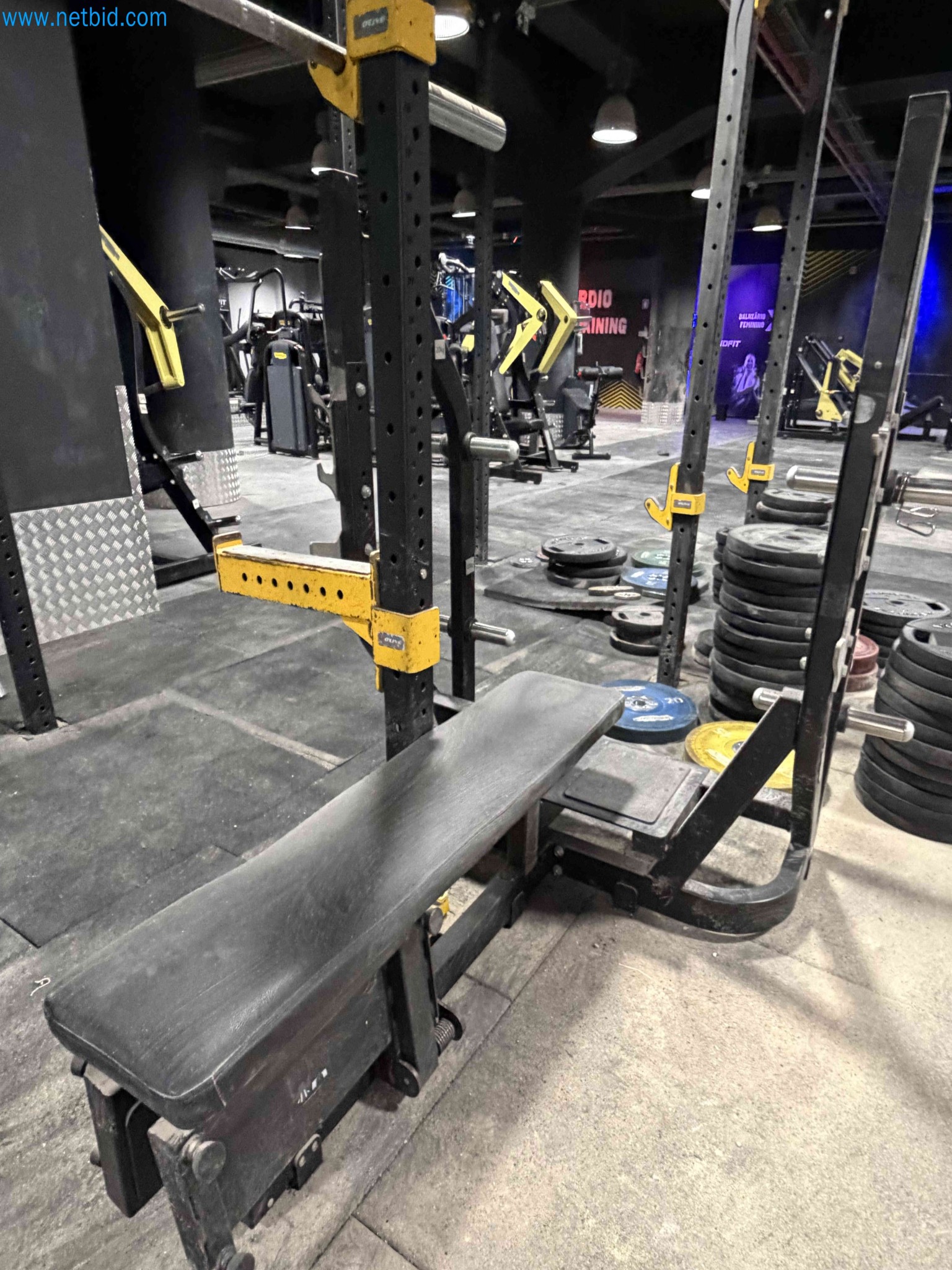 Auction of Used Technogym Gym Equipment – Professional Fitness Machines-3