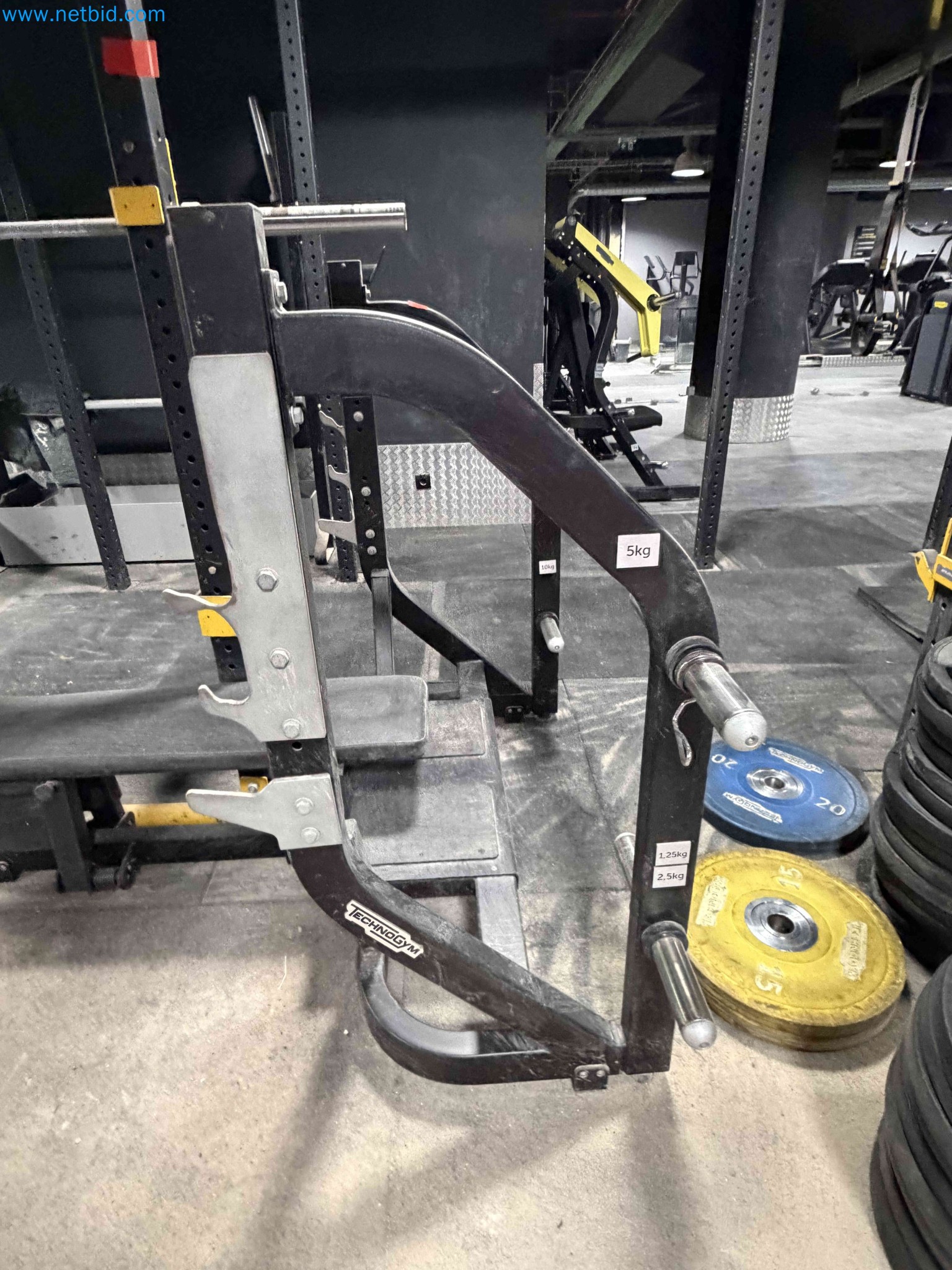 Auction of Used Technogym Gym Equipment – Professional Fitness Machines-5