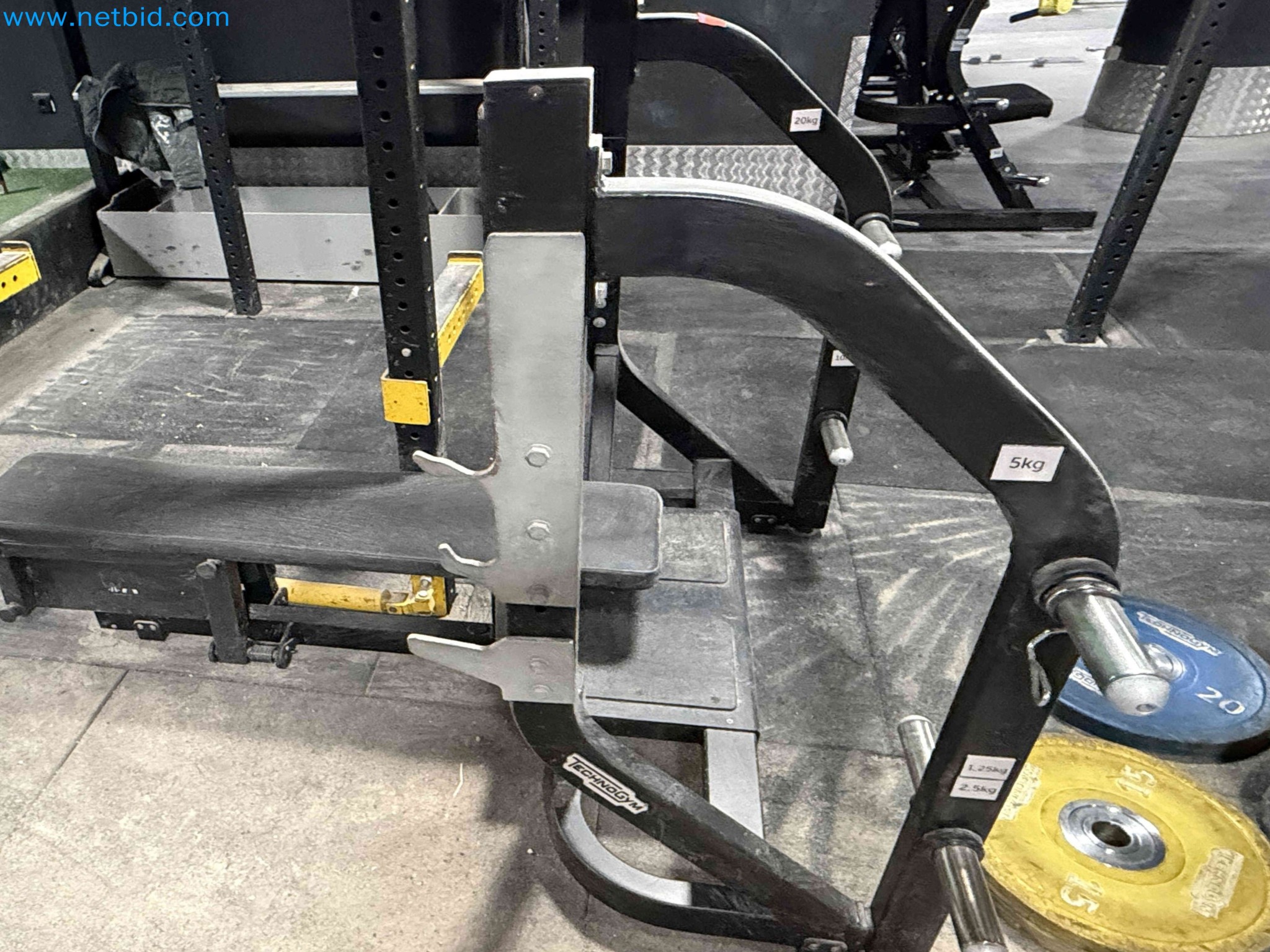 Auction of Used Technogym Gym Equipment – Professional Fitness Machines-6