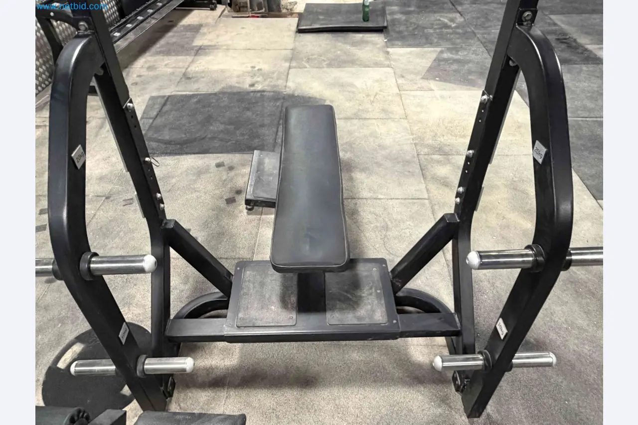 Auction of Used Technogym Gym Equipment – Professional Fitness Machines-10