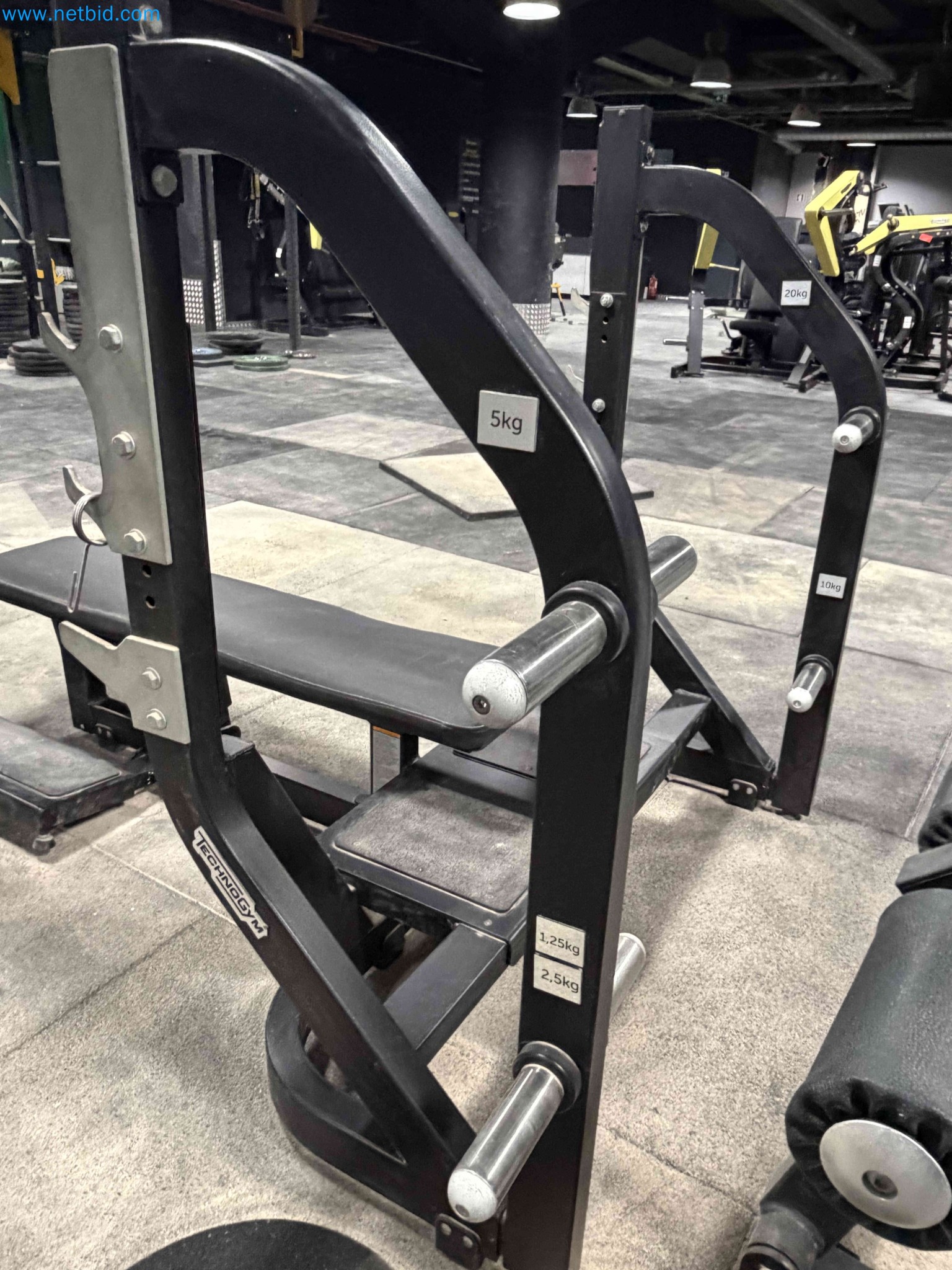 Auction of Used Technogym Gym Equipment – Professional Fitness Machines-11