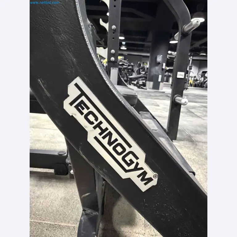 Auction of Used Technogym Gym Equipment – Professional Fitness Machines-12
