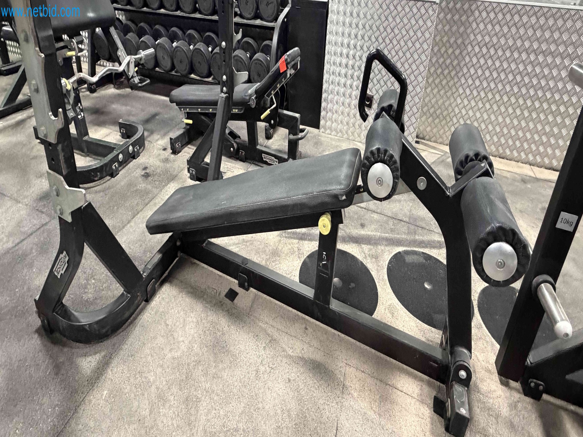 Auction of Used Technogym Gym Equipment – Professional Fitness Machines-6