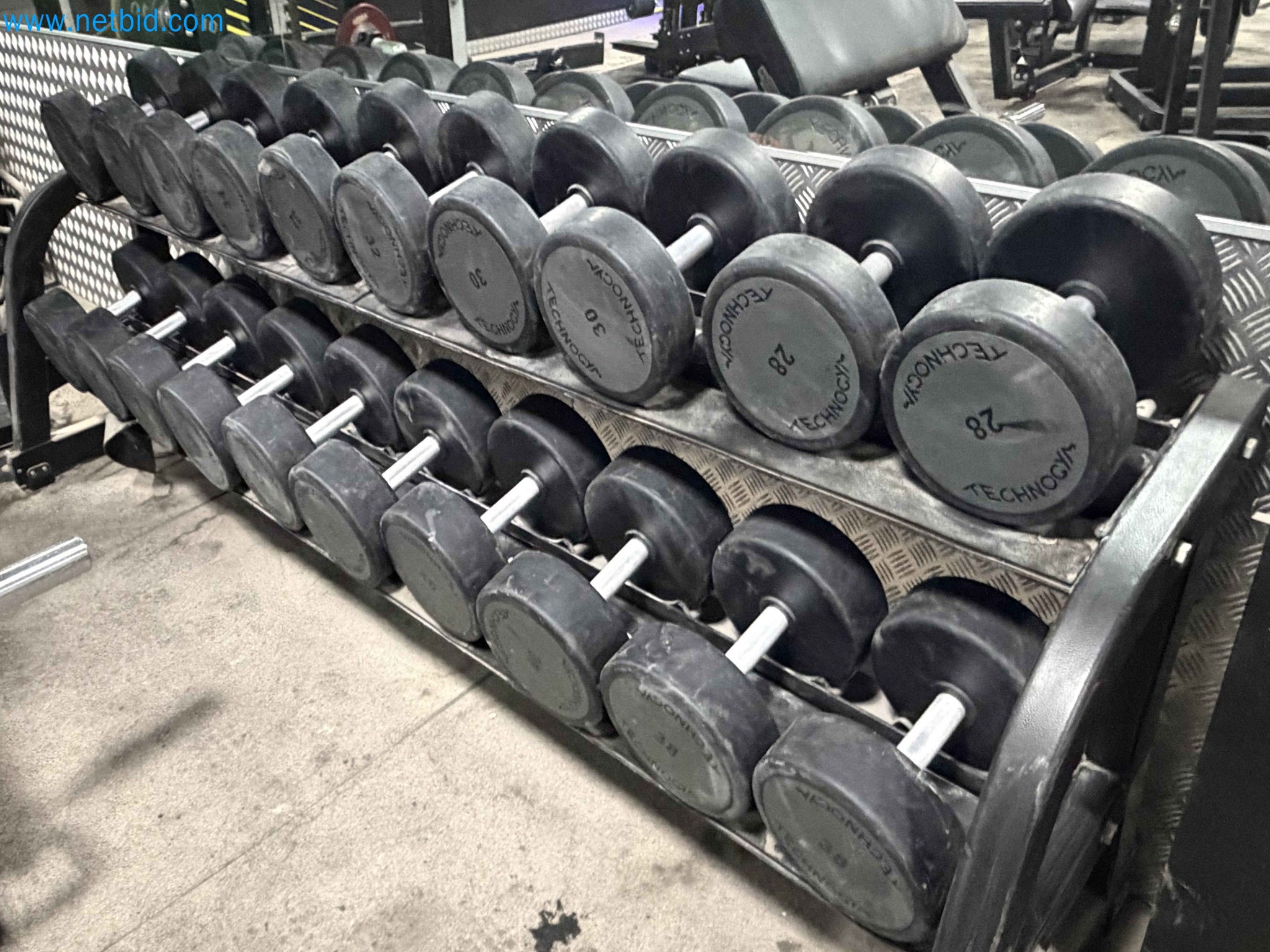 Auction of Used Technogym Gym Equipment – Professional Fitness Machines-1