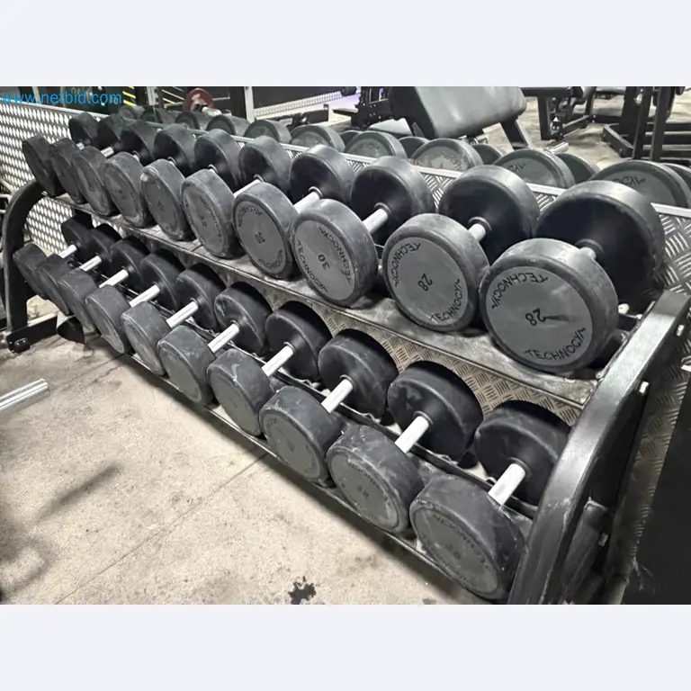 Vente aux enchères de matériel de fitness Technogym d'occasion - Appareils de fitness professionnels-1