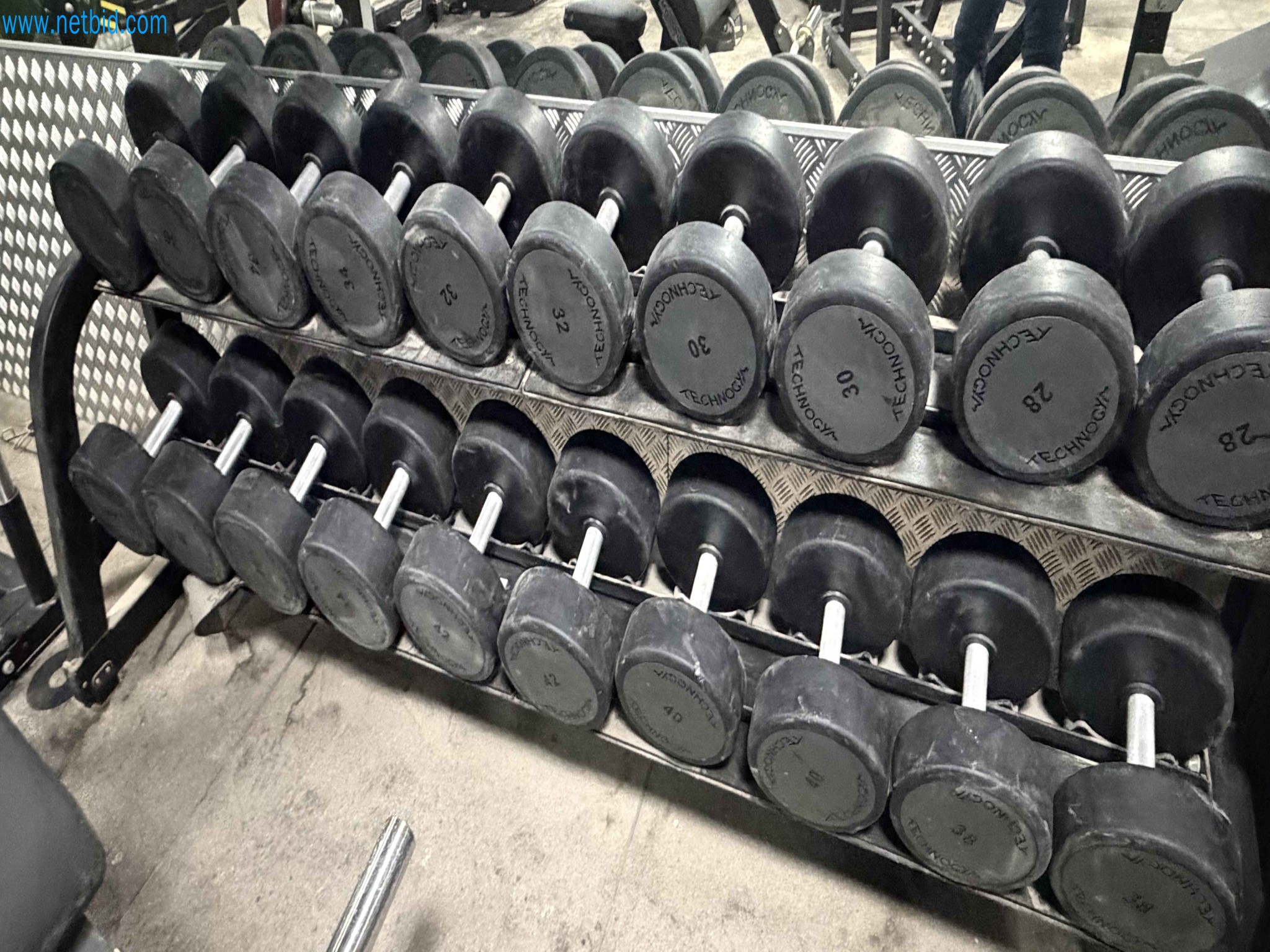 Auction of Used Technogym Gym Equipment – Professional Fitness Machines-3