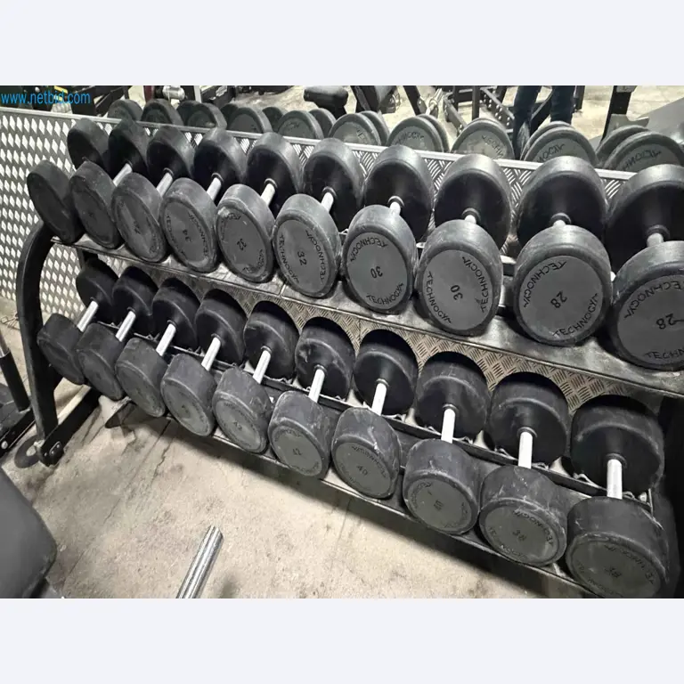 Vente aux enchères de matériel de fitness Technogym d'occasion - Appareils de fitness professionnels-3