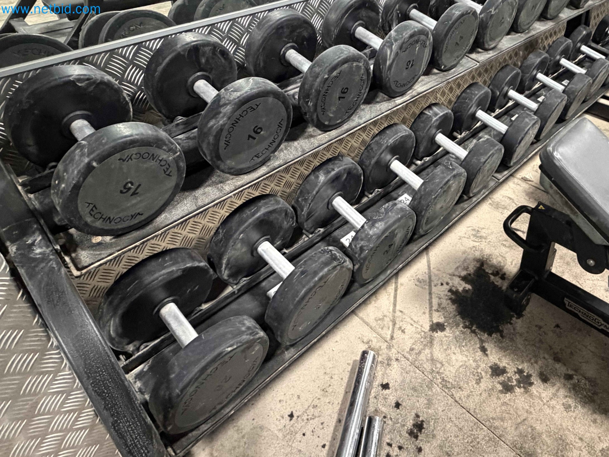 Auction of Used Technogym Gym Equipment – Professional Fitness Machines-6