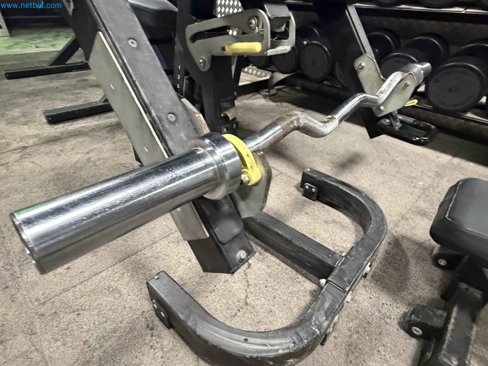Auction of Used Technogym Gym Equipment – Professional Fitness Machines-15
