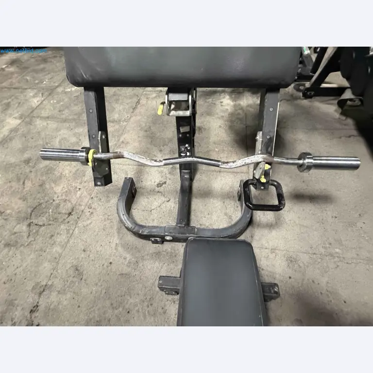Auktion von gebrauchten Technogym-Fitnessgeräten – Professionelle Fitnessgeräte-18