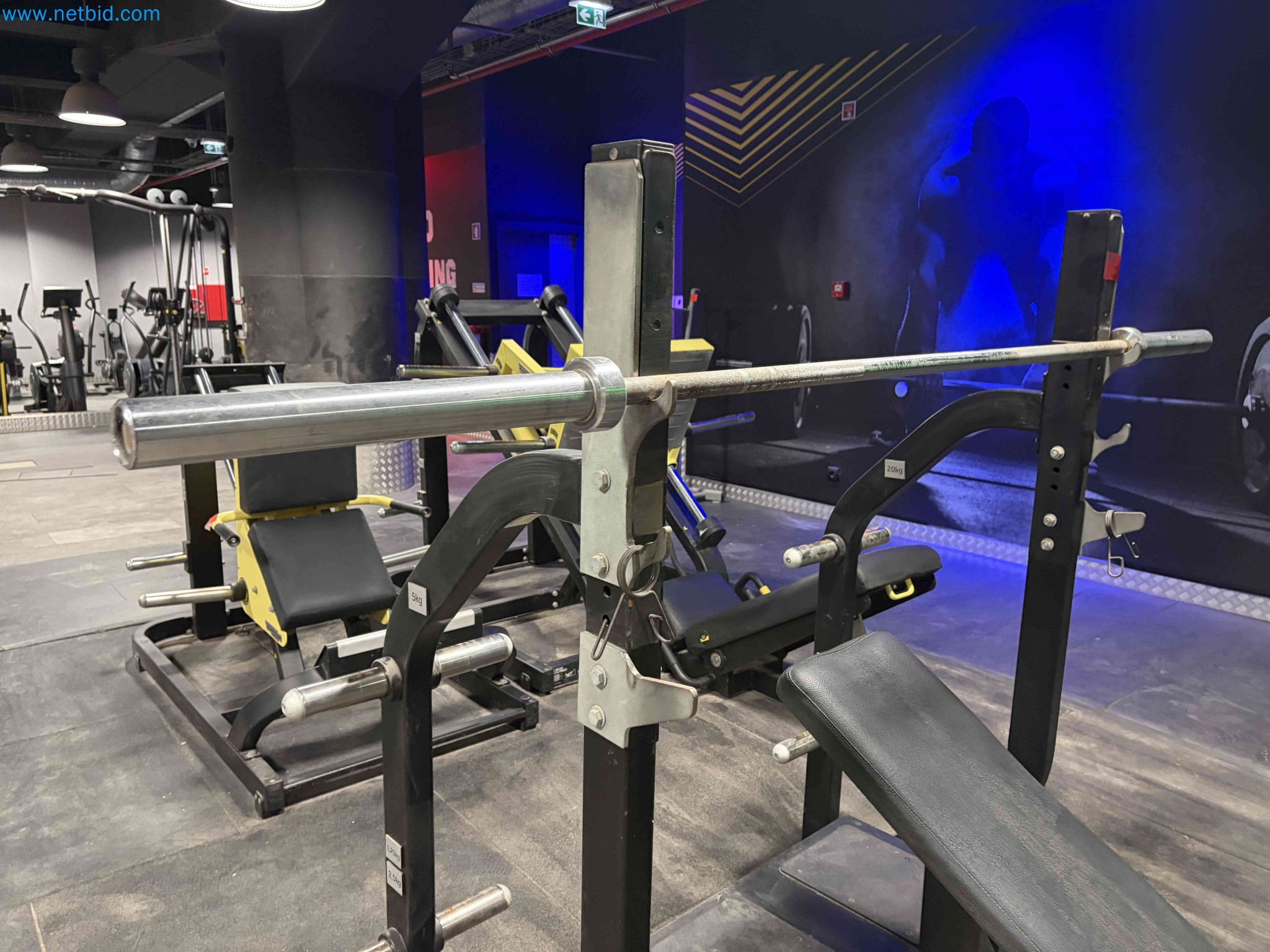 Auction of Used Technogym Gym Equipment – Professional Fitness Machines-31