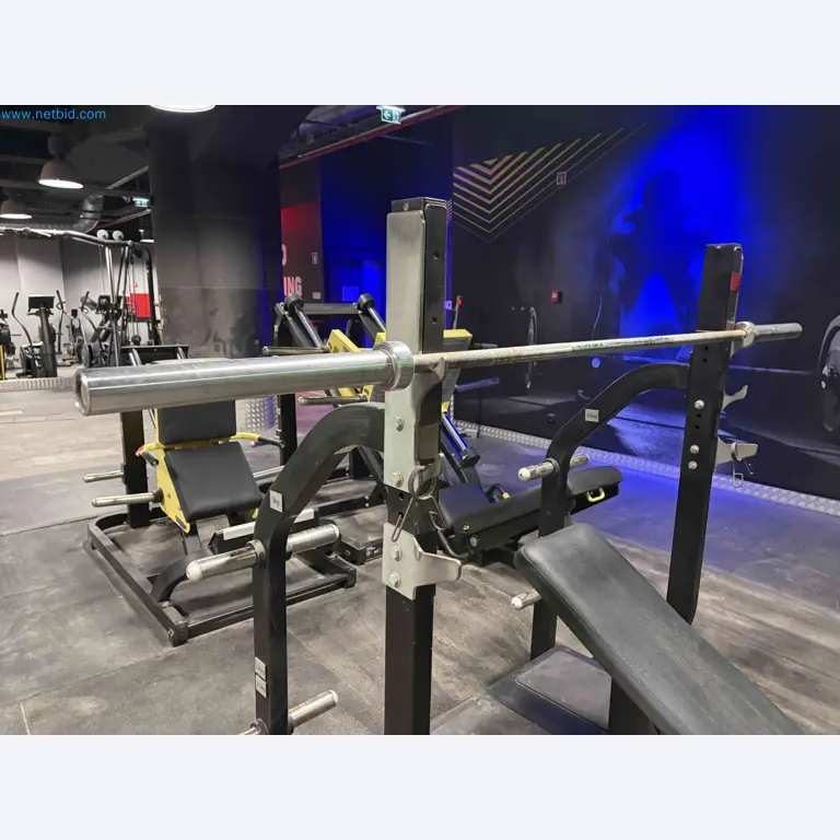 Auktion von gebrauchten Technogym-Fitnessgeräten – Professionelle Fitnessgeräte-31