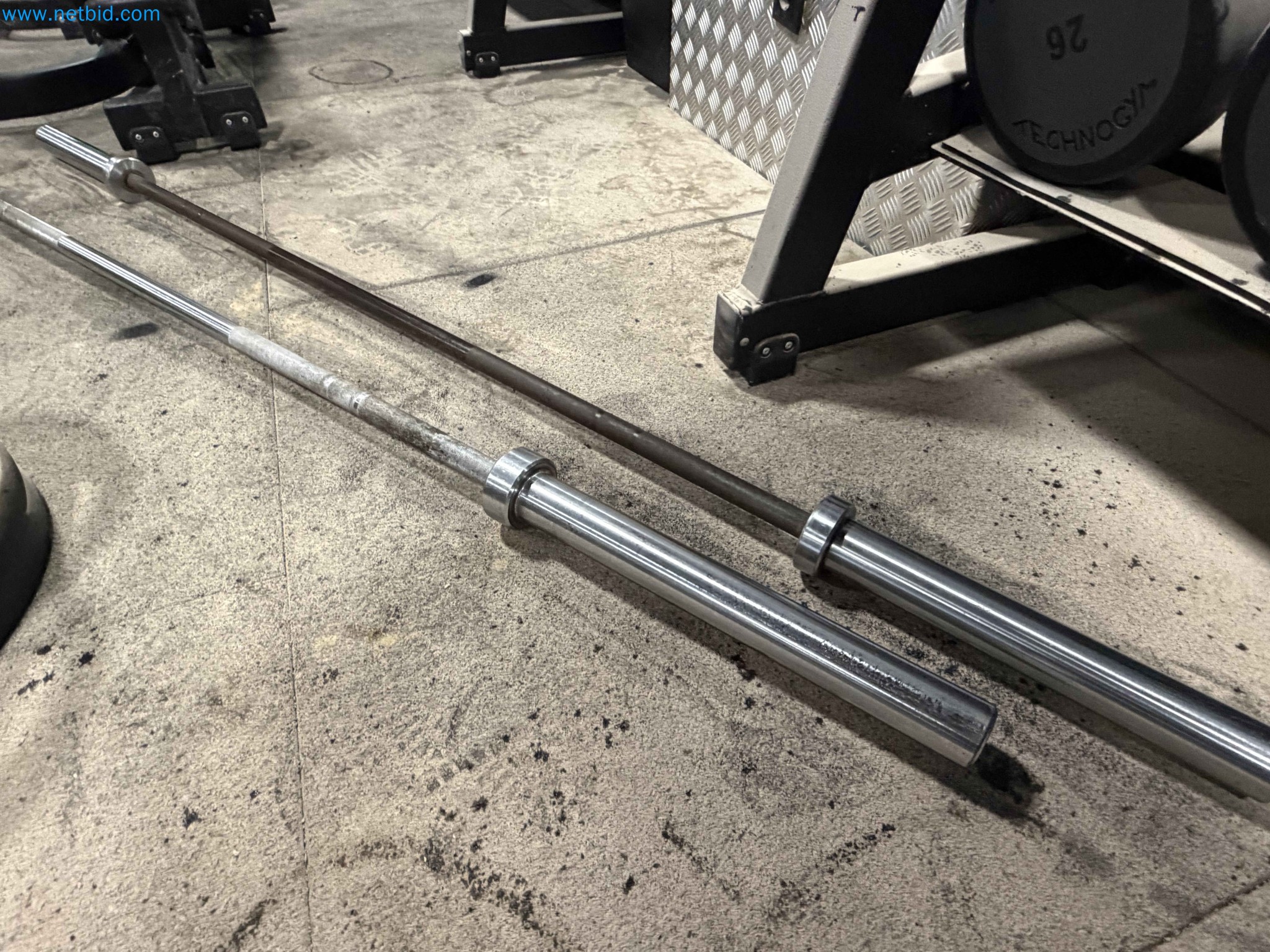 Auction of Used Technogym Gym Equipment – Professional Fitness Machines-4