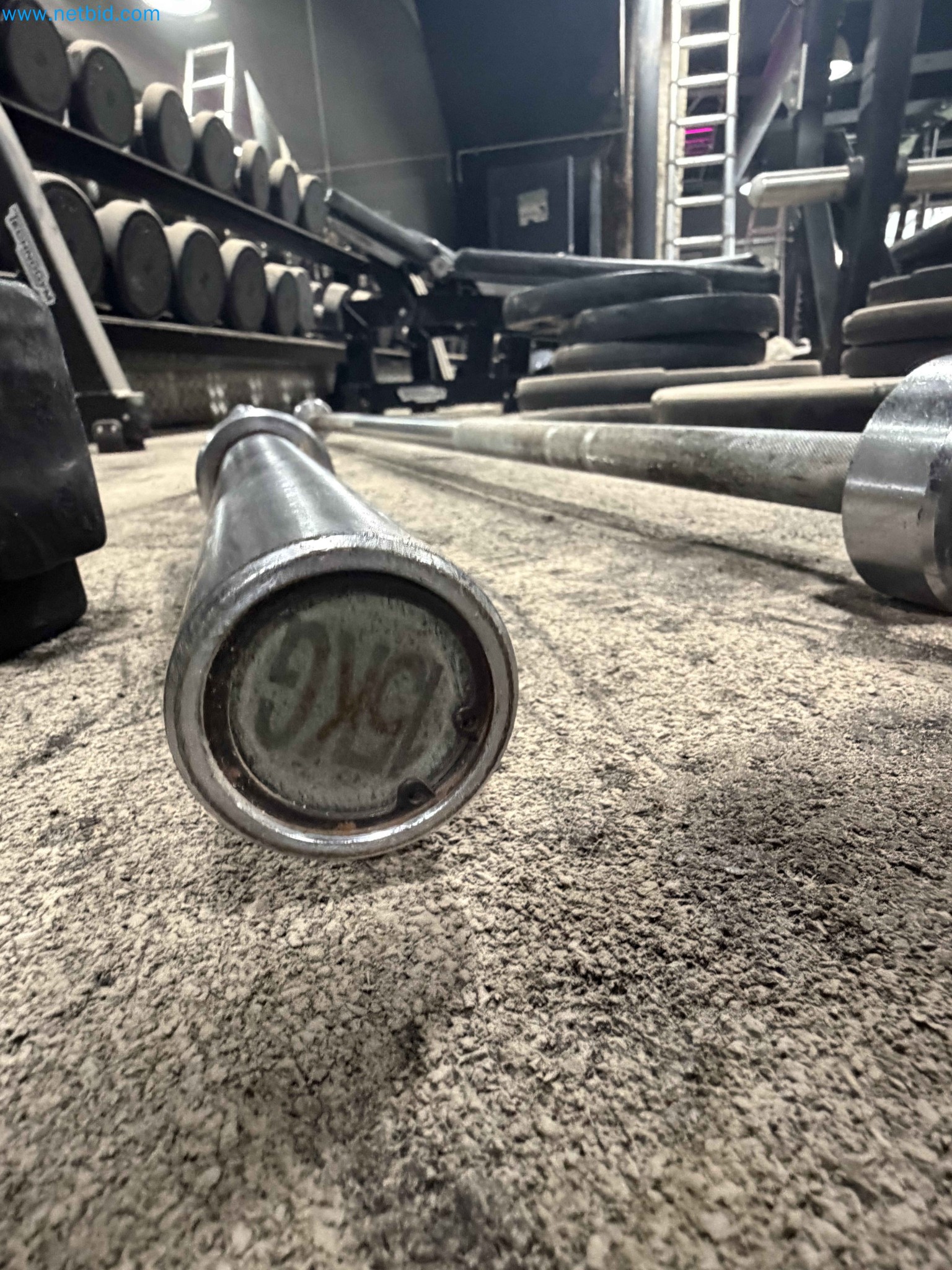 Auction of Used Technogym Gym Equipment – Professional Fitness Machines-7