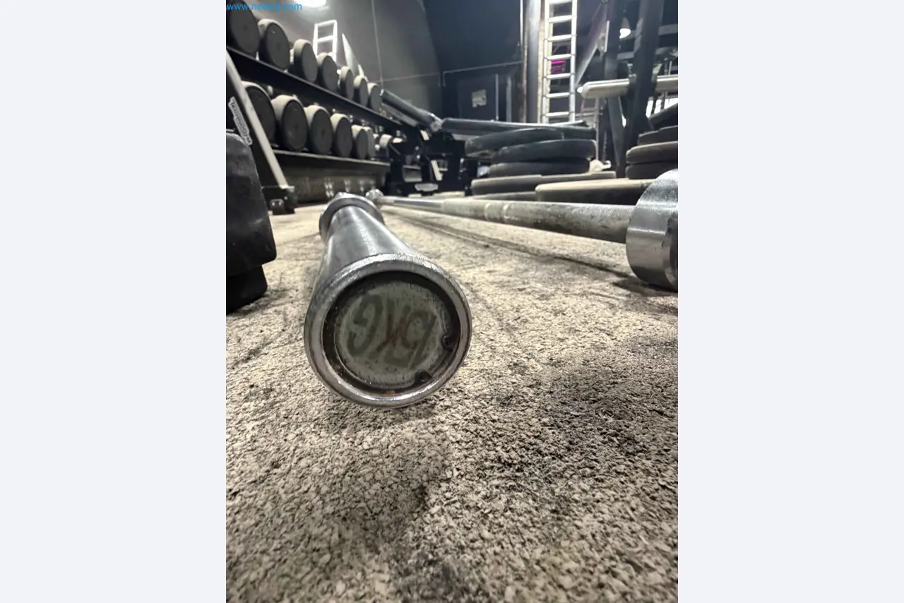 Auktion von gebrauchten Technogym-Fitnessgeräten – Professionelle Fitnessgeräte-7