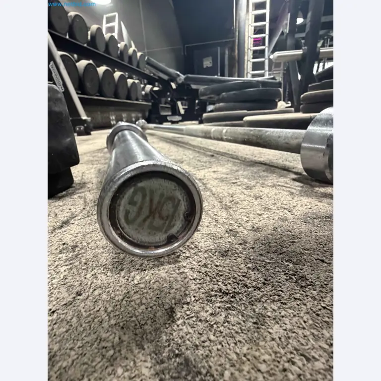 Auktion von gebrauchten Technogym-Fitnessgeräten – Professionelle Fitnessgeräte-7