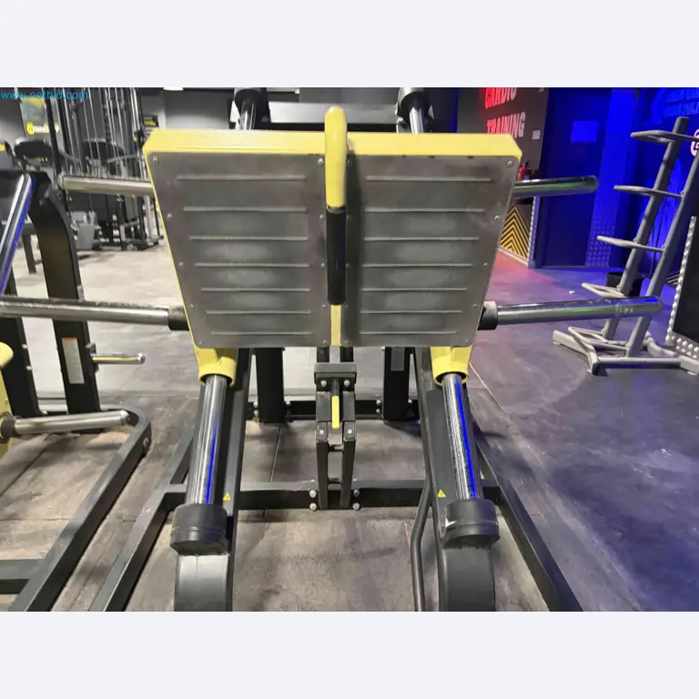 Auktion von gebrauchten Technogym-Fitnessgeräten – Professionelle Fitnessgeräte-16