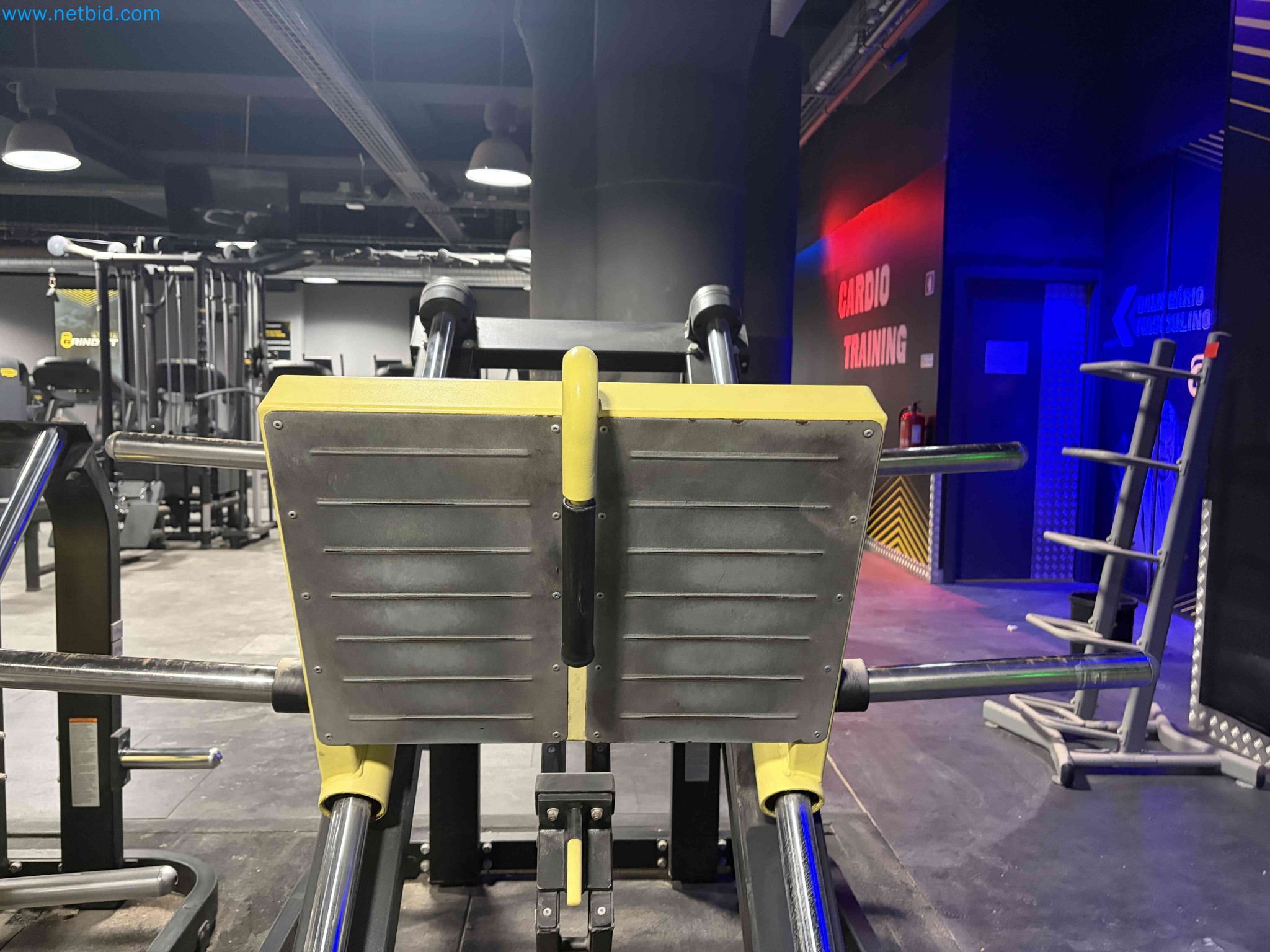 Auction of Used Technogym Gym Equipment – Professional Fitness Machines-17