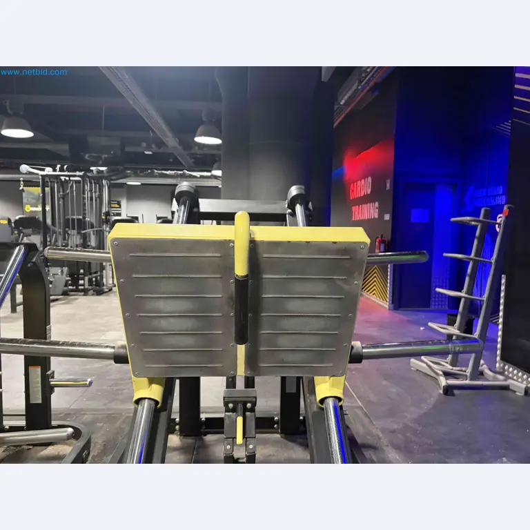 Auktion von gebrauchten Technogym-Fitnessgeräten – Professionelle Fitnessgeräte-17