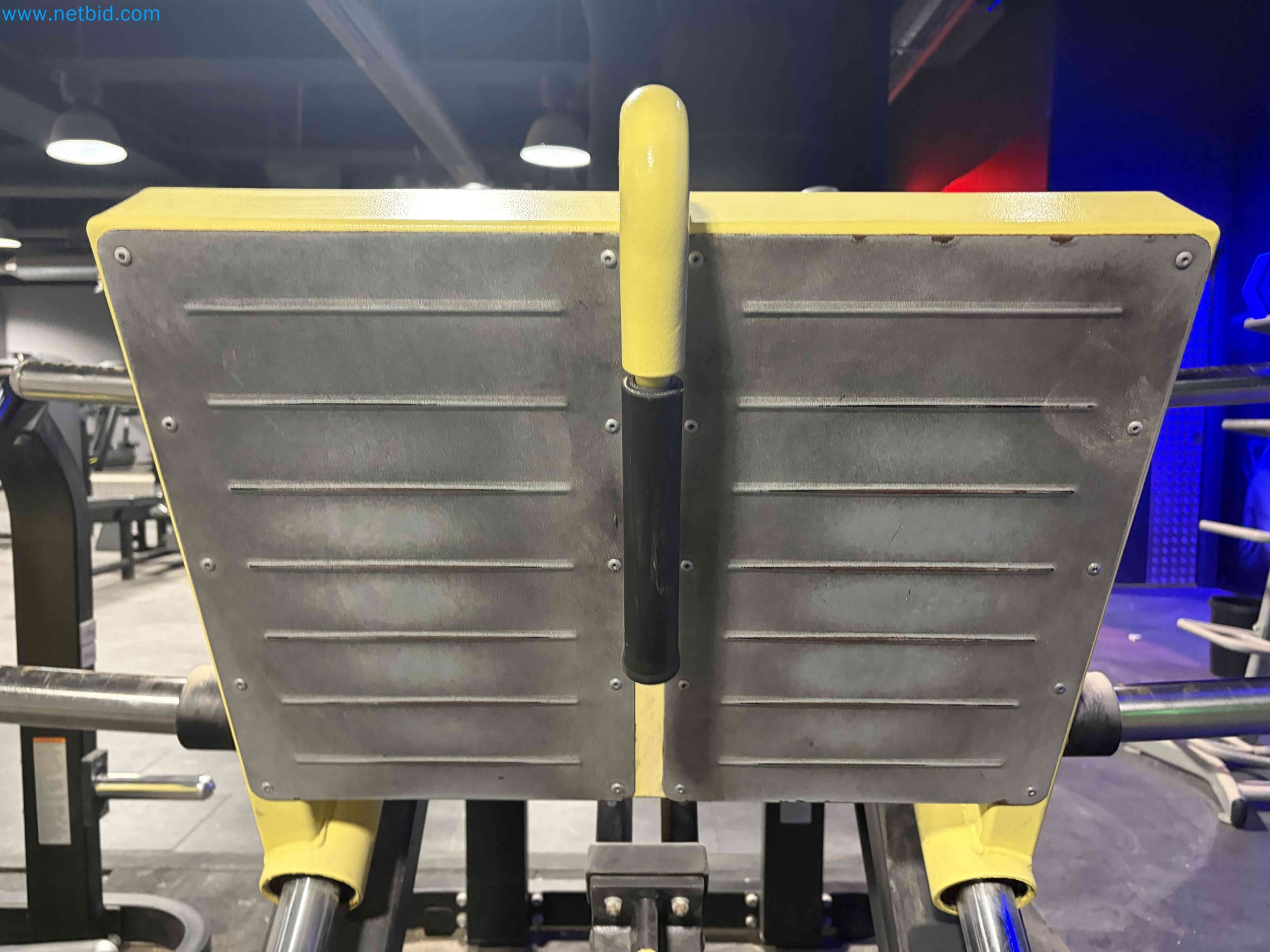 Auction of Used Technogym Gym Equipment – Professional Fitness Machines-18