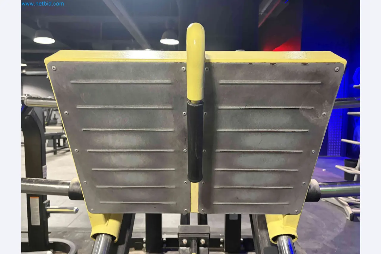 Auktion von gebrauchten Technogym-Fitnessgeräten – Professionelle Fitnessgeräte-18