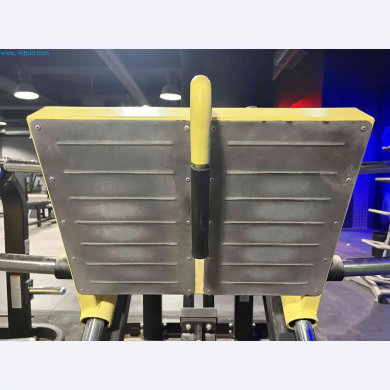 Auktion von gebrauchten Technogym-Fitnessgeräten – Professionelle Fitnessgeräte-18