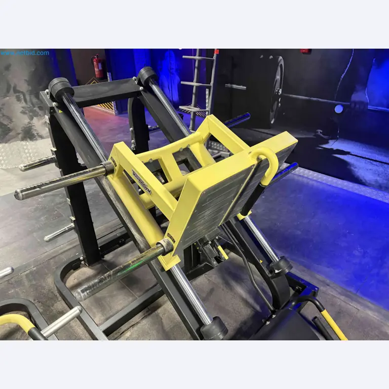 Auktion von gebrauchten Technogym-Fitnessgeräten – Professionelle Fitnessgeräte-21