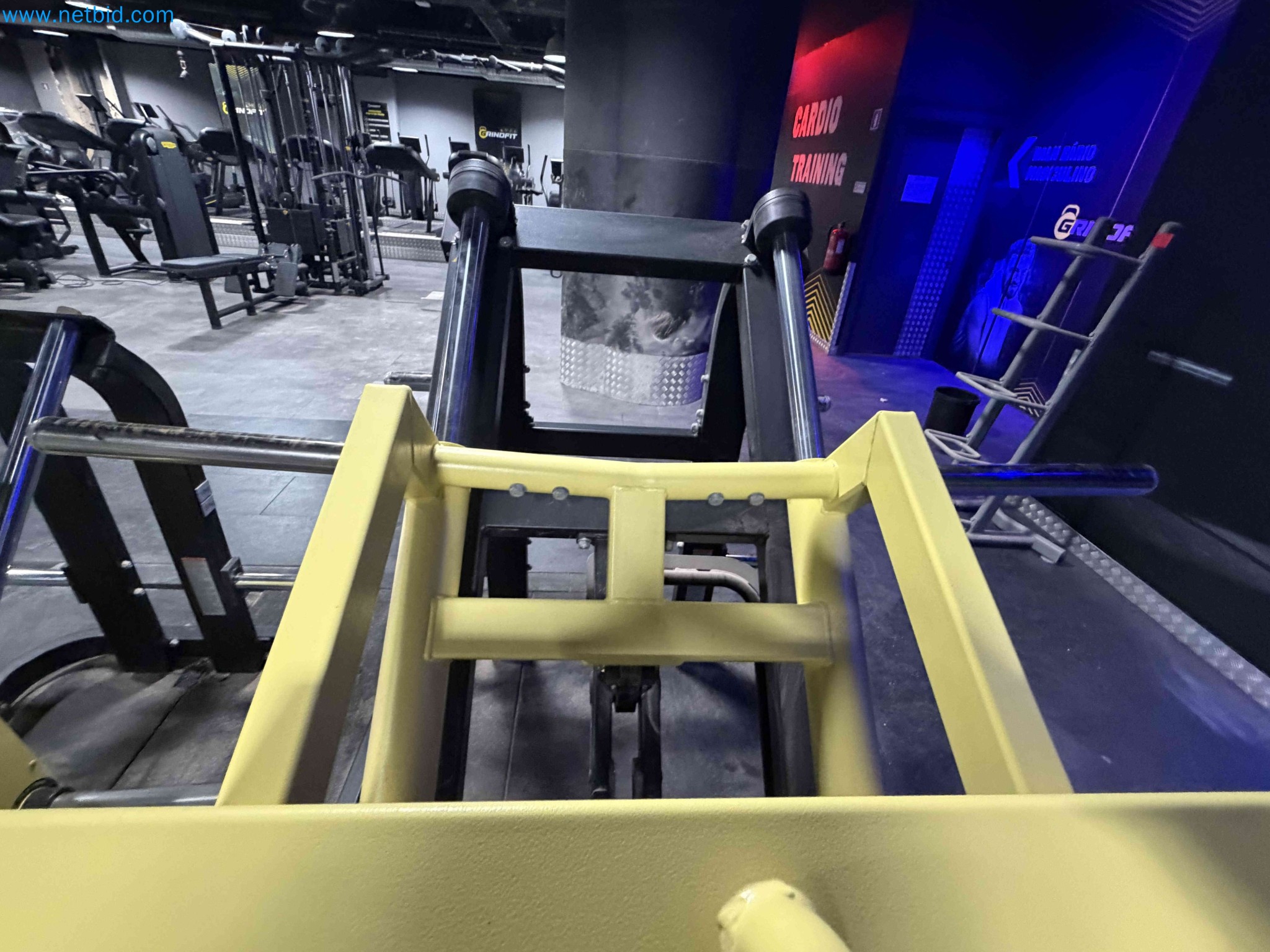 Auction of Used Technogym Gym Equipment – Professional Fitness Machines-24