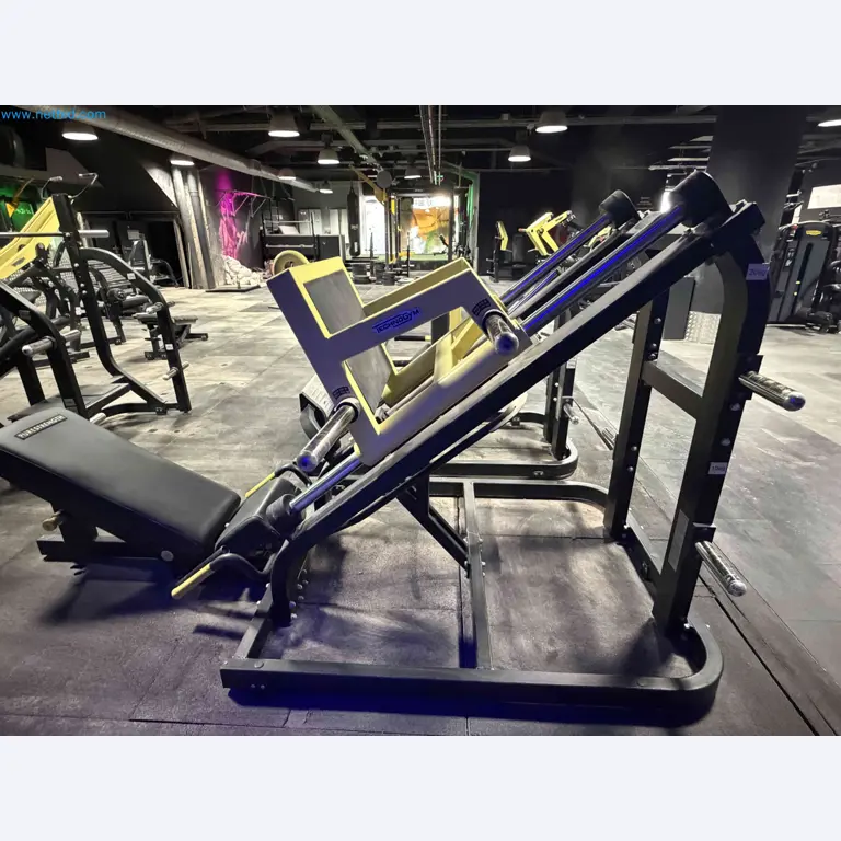 Auktion von gebrauchten Technogym-Fitnessgeräten – Professionelle Fitnessgeräte-8