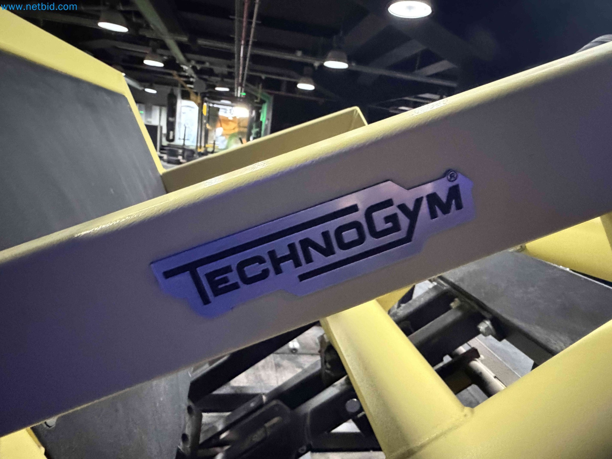 Auction of Used Technogym Gym Equipment – Professional Fitness Machines-9