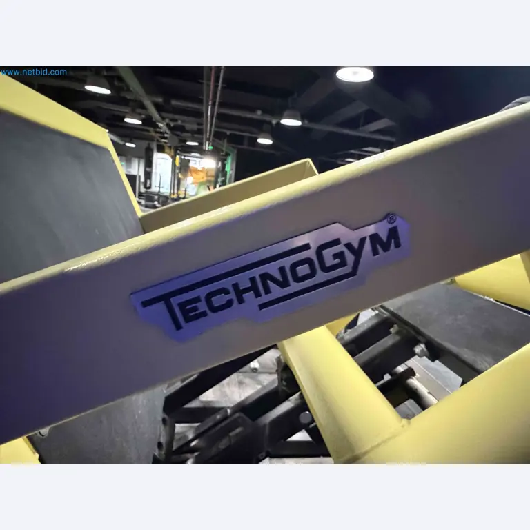 Auktion von gebrauchten Technogym-Fitnessgeräten – Professionelle Fitnessgeräte-9