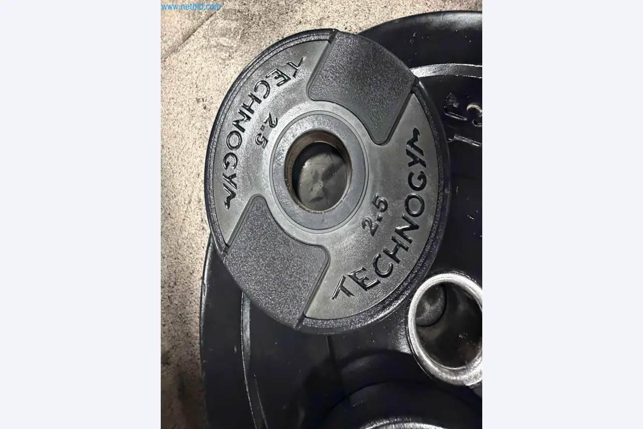 Auction of Used Technogym Gym Equipment – Professional Fitness Machines-12