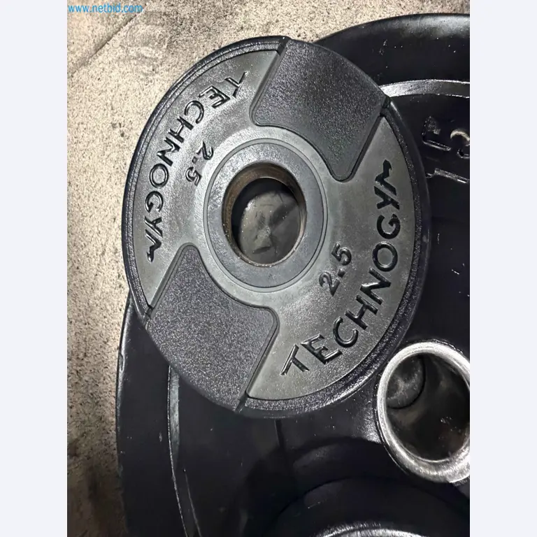 Auction of Used Technogym Gym Equipment – Professional Fitness Machines-12