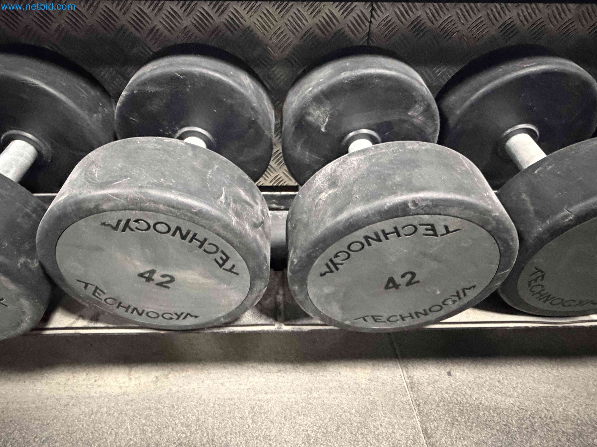 Auction of Used Technogym Gym Equipment – Professional Fitness Machines-10