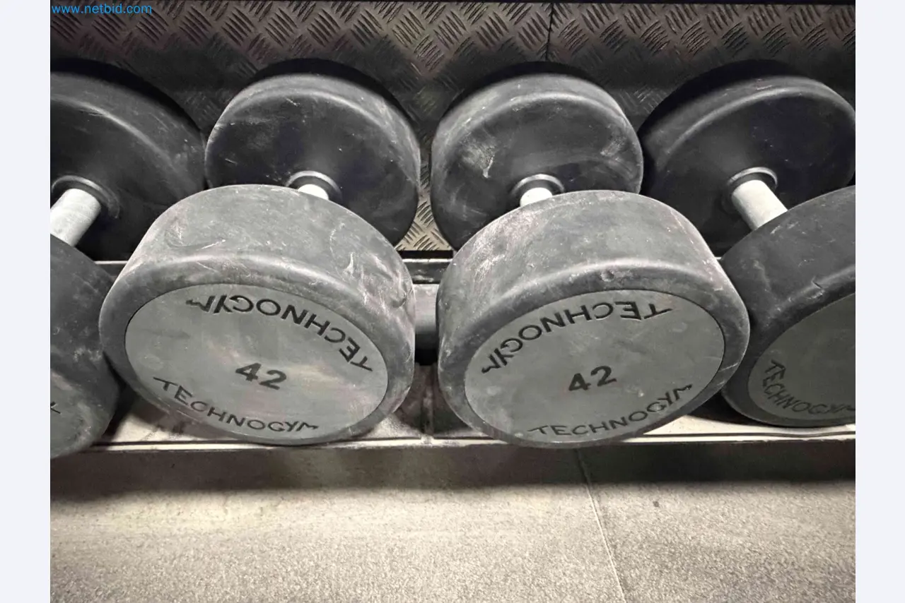 Auction of Used Technogym Gym Equipment – Professional Fitness Machines-10