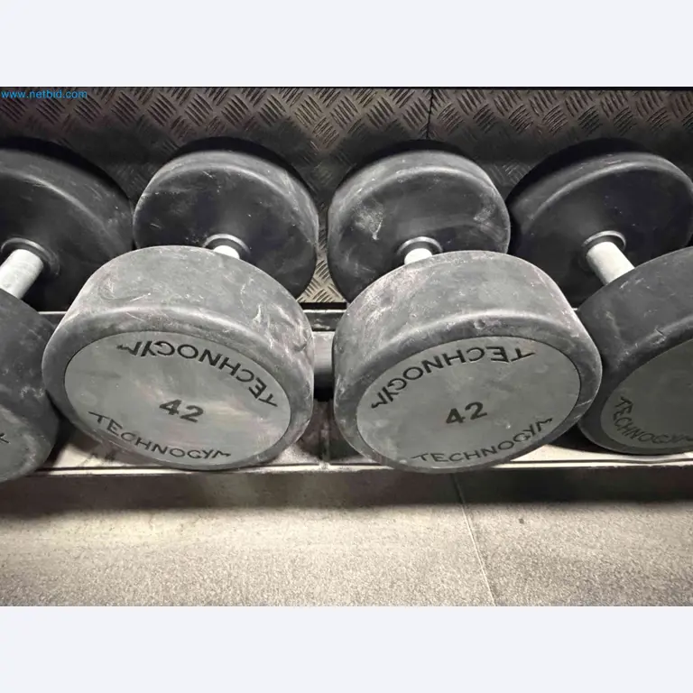 Auction of Used Technogym Gym Equipment – Professional Fitness Machines-10