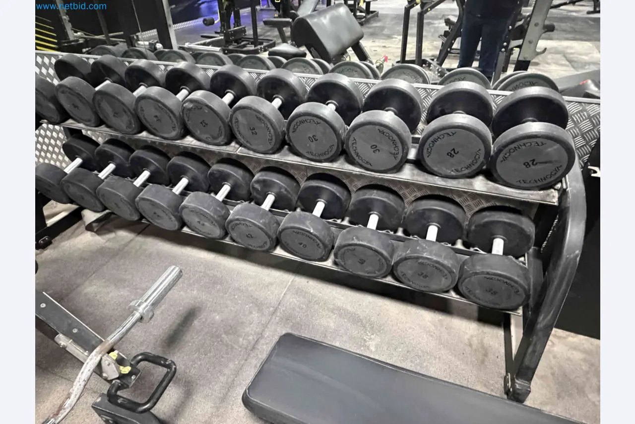 Auction of Used Technogym Gym Equipment – Professional Fitness Machines-12
