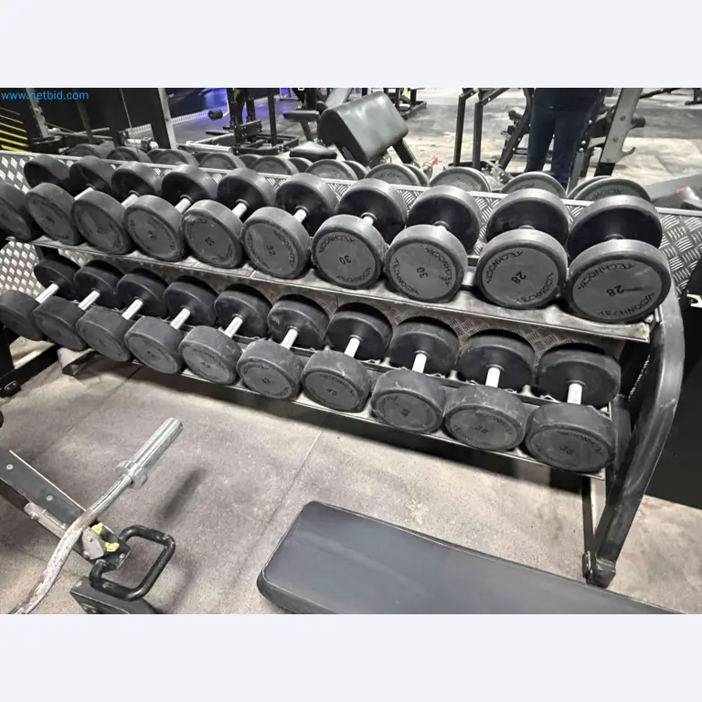 Auction of Used Technogym Gym Equipment – Professional Fitness Machines-12